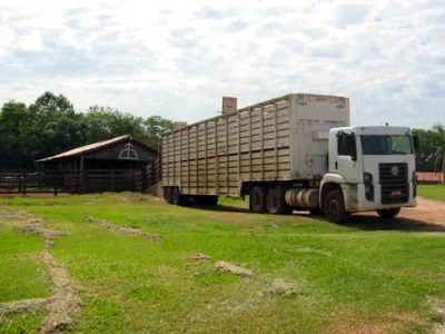 Infraestrutura — Caminhao Graneleiro Carregamento Fazenda