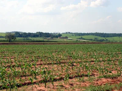Agricultura — Campo Cultura Jovem Agricultura Sol