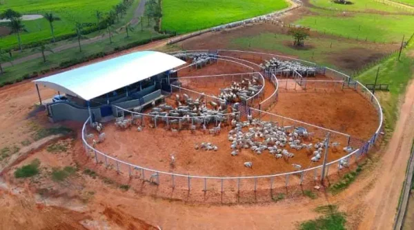 Estrutura — Estrutura02