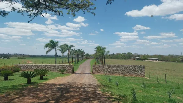 Paisagens — Fazenda Entrada Estrada Terra