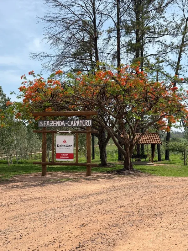 Paisagens — Fazenda Placa Entrada