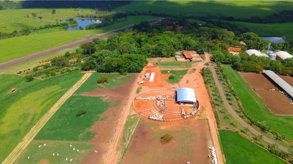 Estrutura — Fazenda