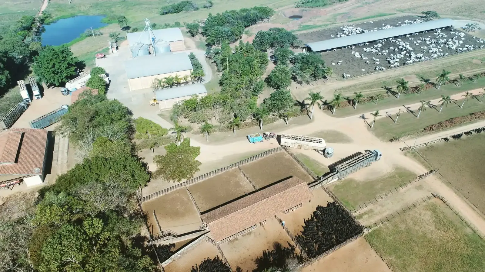 Vista aérea da infraestrutura da Fazenda Caramuru.