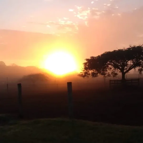 Paisagens — Paisagem Amanhecer Neblina