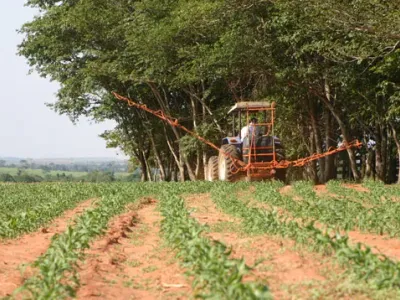 Agricultura — Plantacao Jovem Irrigacao Manejo Campo
