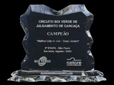 Prêmios — Premio Circuito Boi Verde De Julgamento De Carcaca Campeao Melhor Lote In Vivo Touro Jovem Barretos 2003