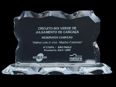 Prêmios — Premio Circuito Boi Verde De Julgamento De Carcaca Reservado Campeao Melhor Lote In Vivo Macho Castrado Promissao 2005