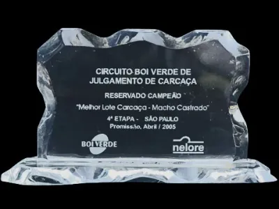Prêmios — Premio Circuito Boi Verde Julgamento De Carcaca Campeao Melhor Lote Carcaca Macho Castrado Promissao