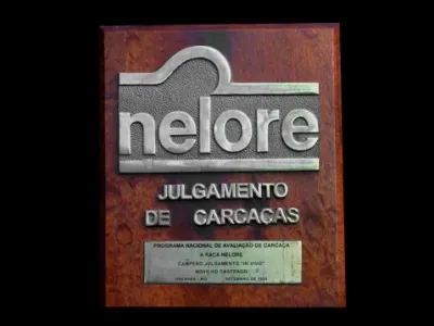 Prêmios — Premio Nelore Julgamento De Carcacas Programa Nacional De Avaliacao De Carcaca Raca Nelore Campeao Novilho Castrado