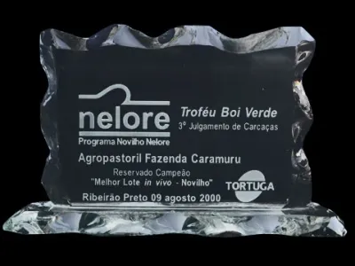 Prêmios — Premio Nelore Programa Novilho Nelore Trofeu Boi Verde Terceiro Julgamento De Carcacas Campeao Ribeirao Preto
