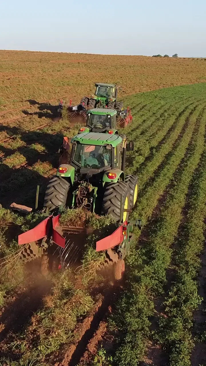 Prévia do vídeo 10