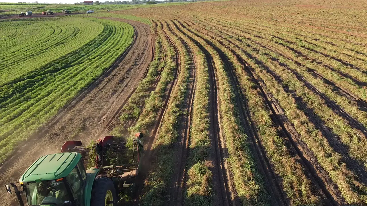 Prévia do vídeo 11