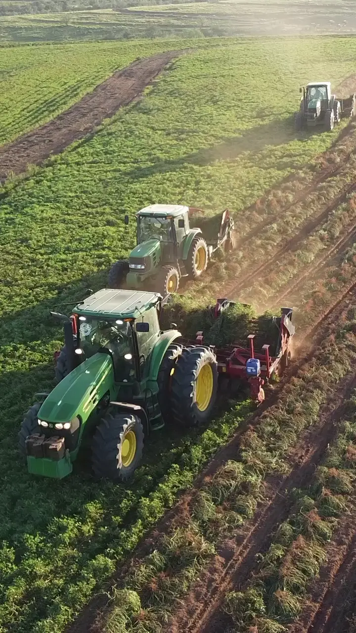 Prévia do vídeo 13