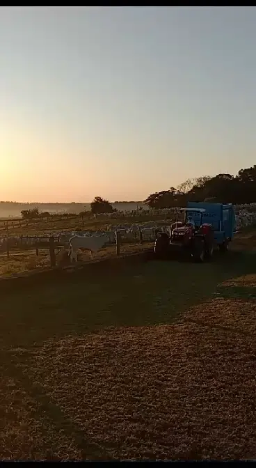 Prévia do vídeo 17